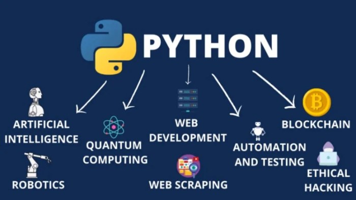 Python why language programming popular than