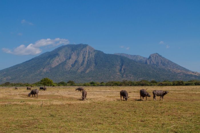 Jelajahi Taman Nasional Baluran, Jawa Timur