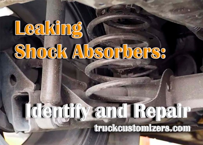 Shock absorber leakage problem