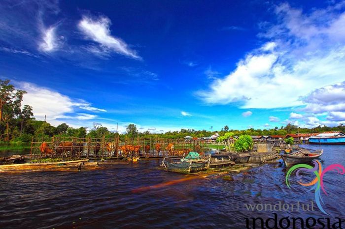 Kapuas borneo kapuaskab kuala sungai authentic