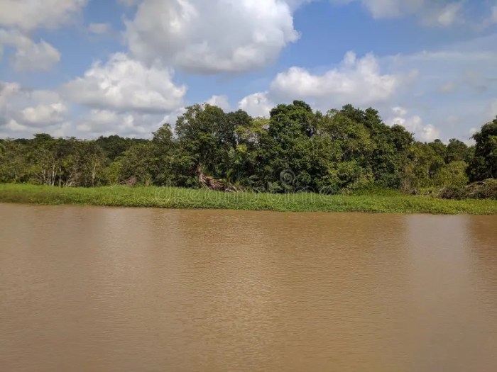 Kapuas river kalimantan cruise