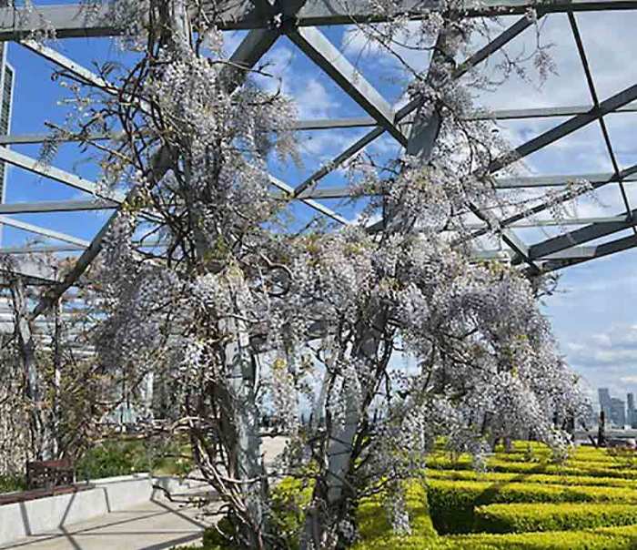 Taman dengan aksen warna hitam