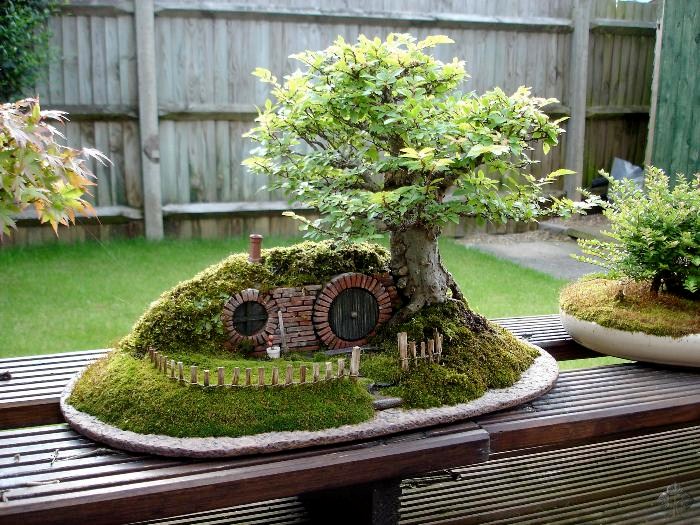 Tanaman Bonsai untuk Dekorasi Taman yang Menawan